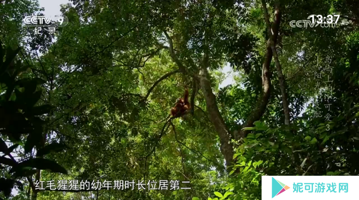 宝盒爱看安卓版下载
