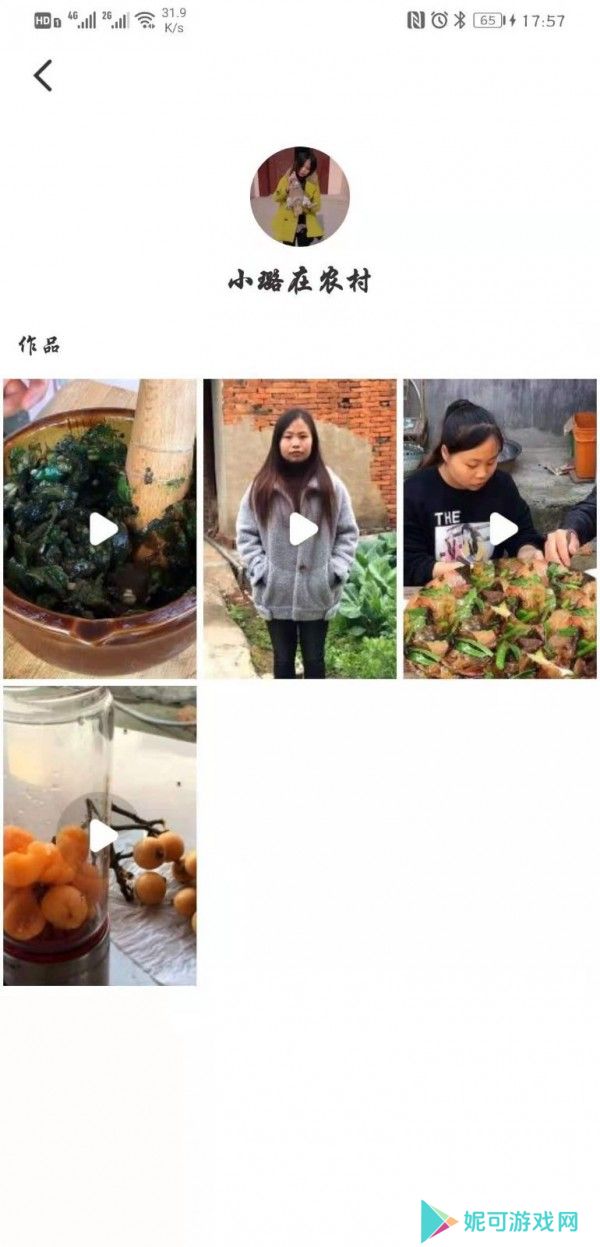 锤子视频免费版下载