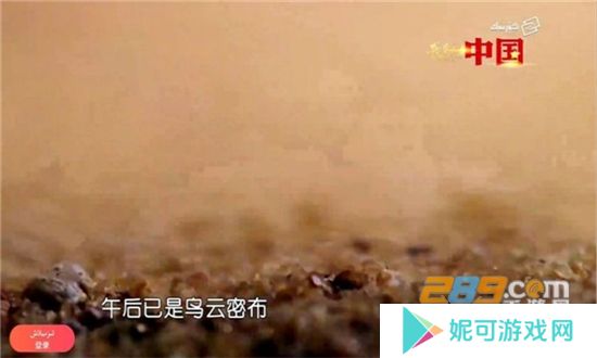 koznaktv电视智能app解锁下载