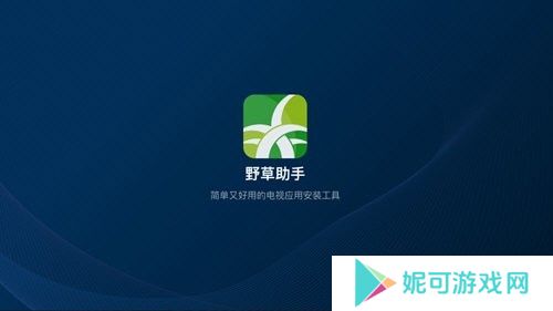 野草助手TV版下载