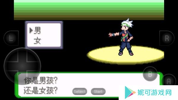 口袋妖怪空之花神补完汉化版