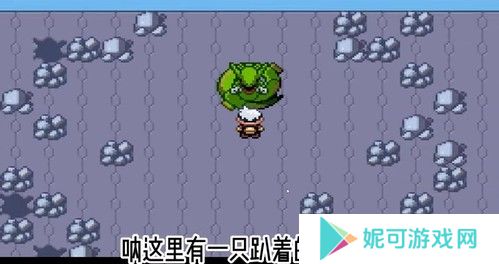 口袋妖怪红宝石
